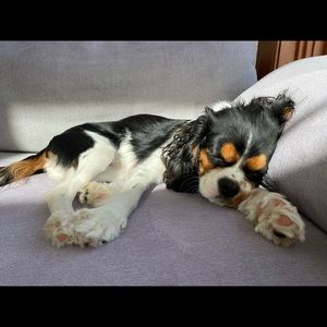 Meet your Posher, Beth